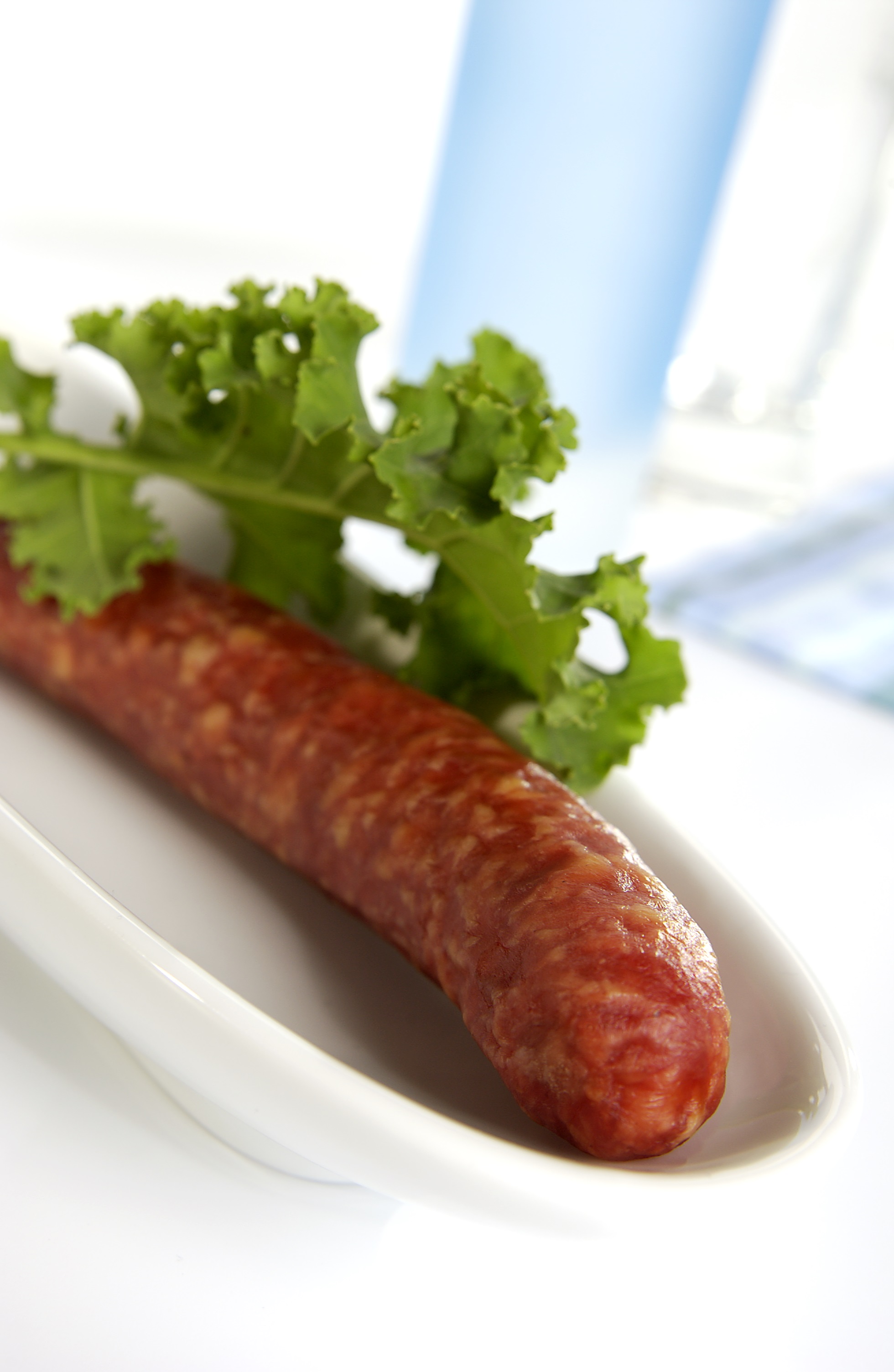 Eine Mettwurst in einer kleinen Schale.